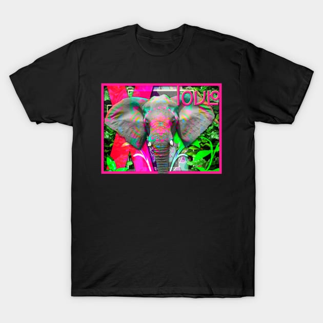 Elephant T-Shirt by dinkdown